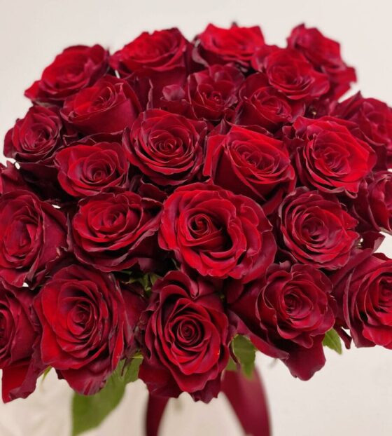 25 красных роз эквадор
