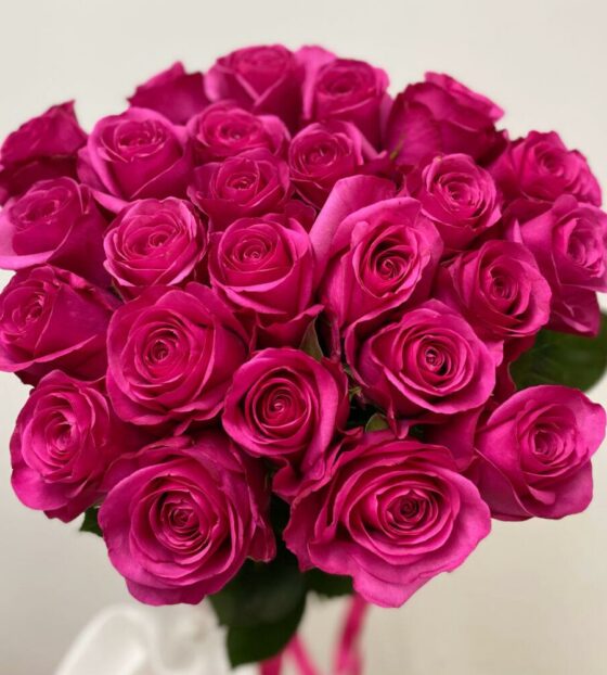 25 малиновых роз эквадор