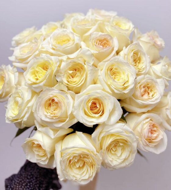 25 пионовидных роз эквадор