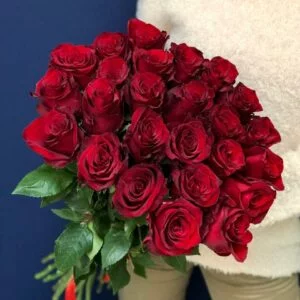 красная роза эквадор