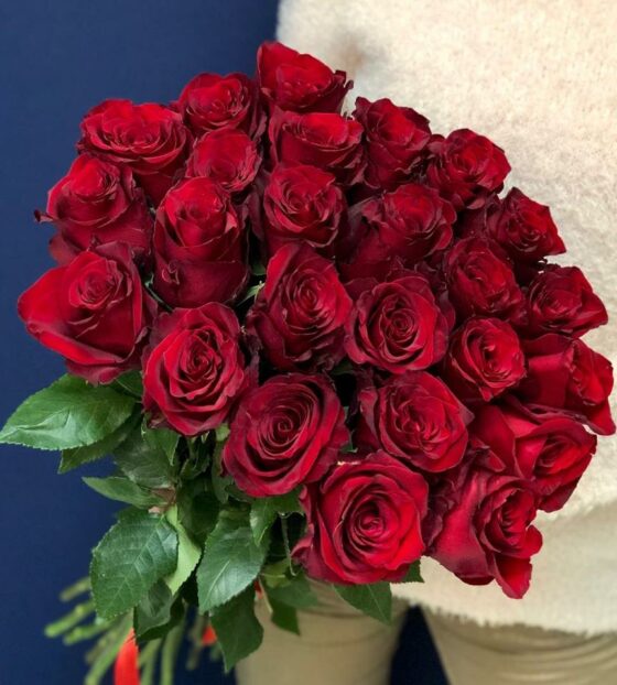 красная роза эквадор