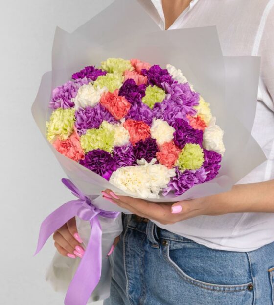 разноцветные гвоздики