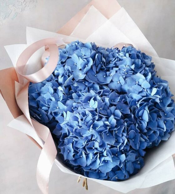 5 синих гортензий