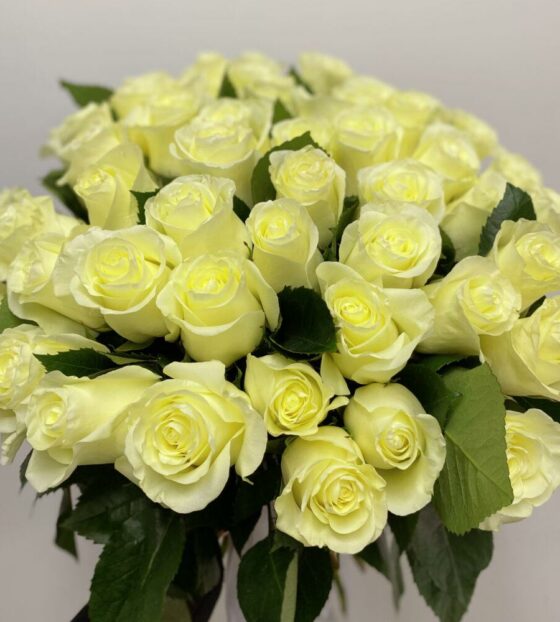 51 белая роза эквадор