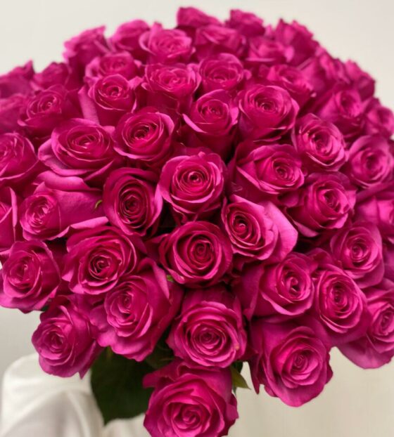 51 роза пинк флойд