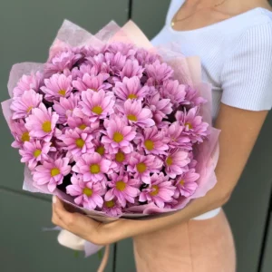 букет фиолетовых хризантем