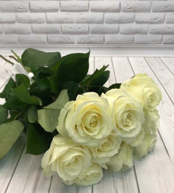 7 белых роз эквадор