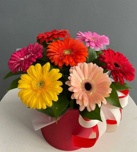 герберы в коробке