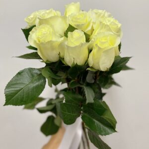 9 белых роз эквадор