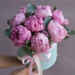 9 розовых пионов в шляпной коробке