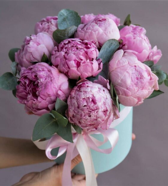 пионы в коробке