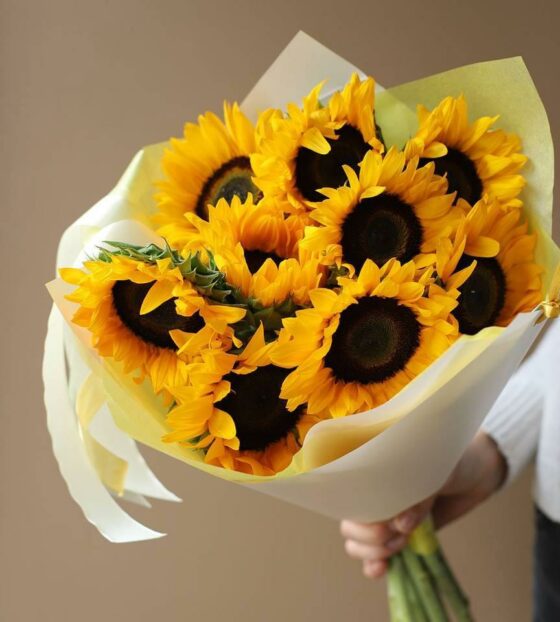 9 подсолнухов