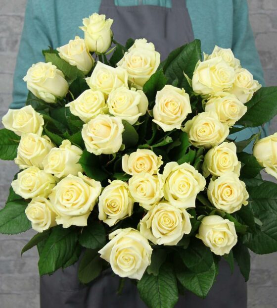 белые розы Россия