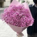 11 розовых гипсофил