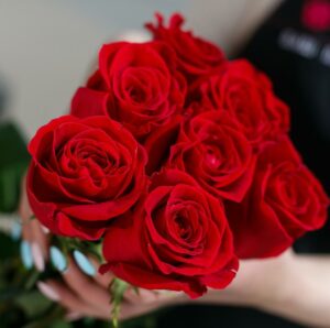 7 красных роз эквадор