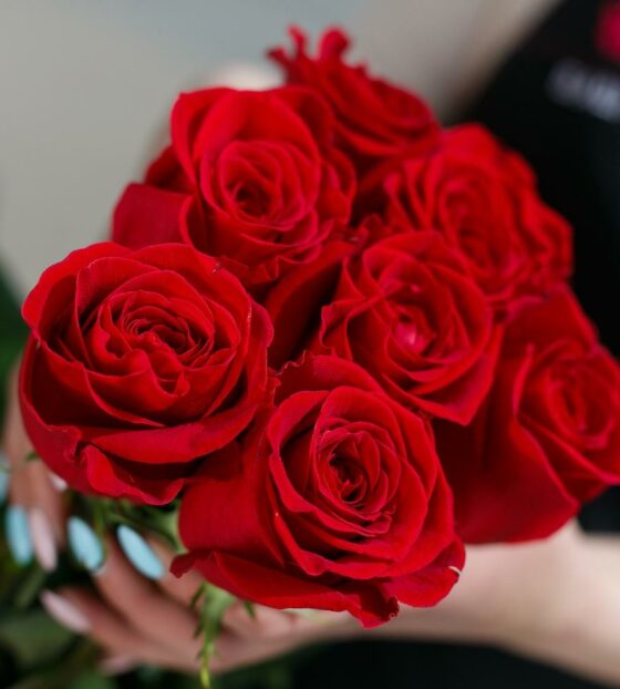7 красных роз эквадор