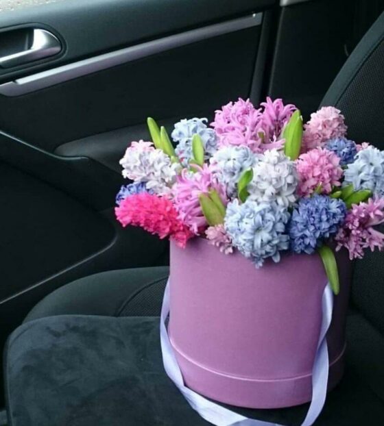 гиацинты в шляпной коробке