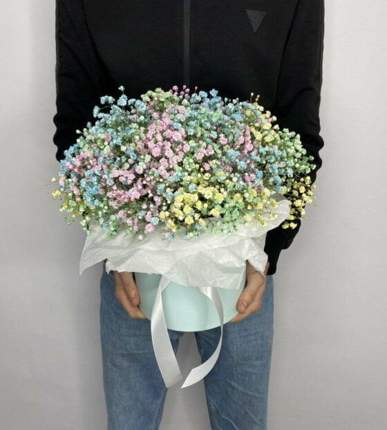 гипсофила в коробке