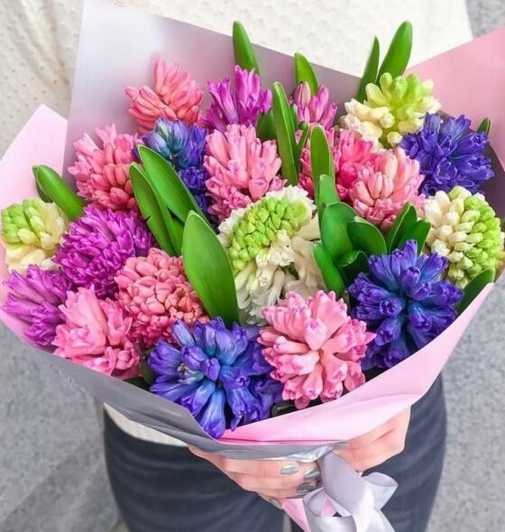букет из гиацинтов микс