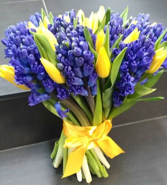 гиацинты и тюльпаны