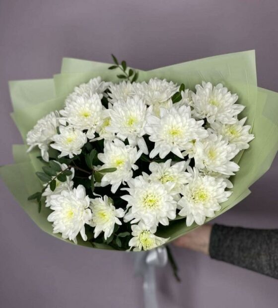 хризантема кустовая белая