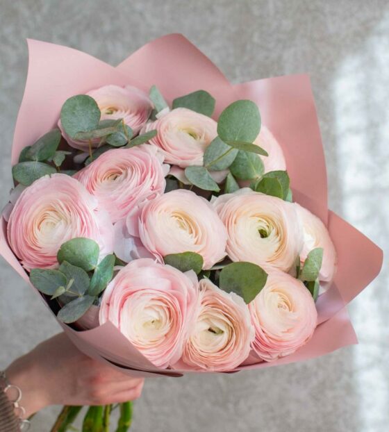 розовые ранункулюсы