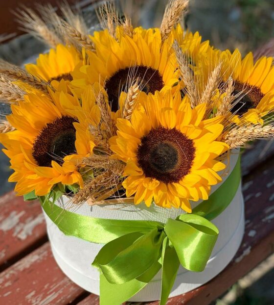 подсолнухи в коробке