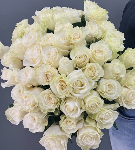 Белые розы Эквадор