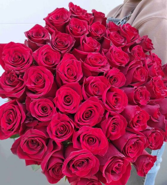 Красные розы Эквадор