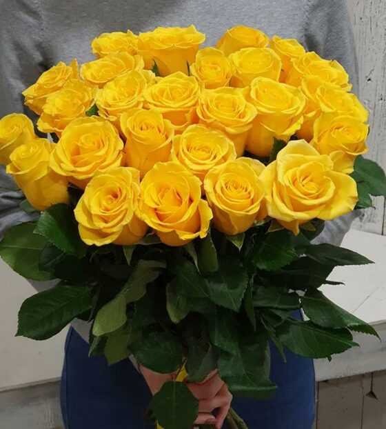 Желтые розы эквадор