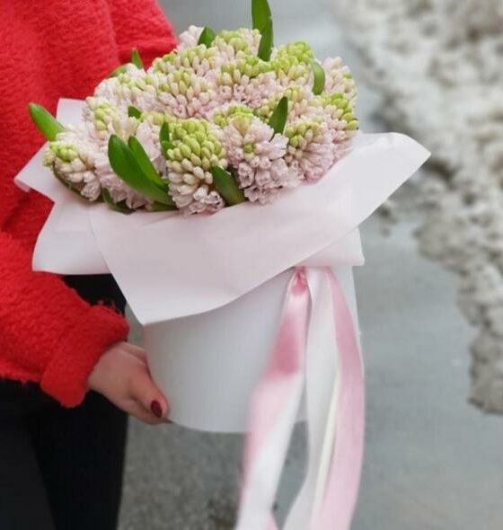 розовые гиацинты в коробке