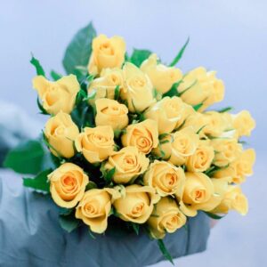 желтые кенийские розы