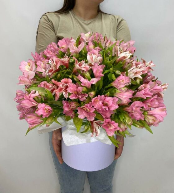 альстромерия в коробке