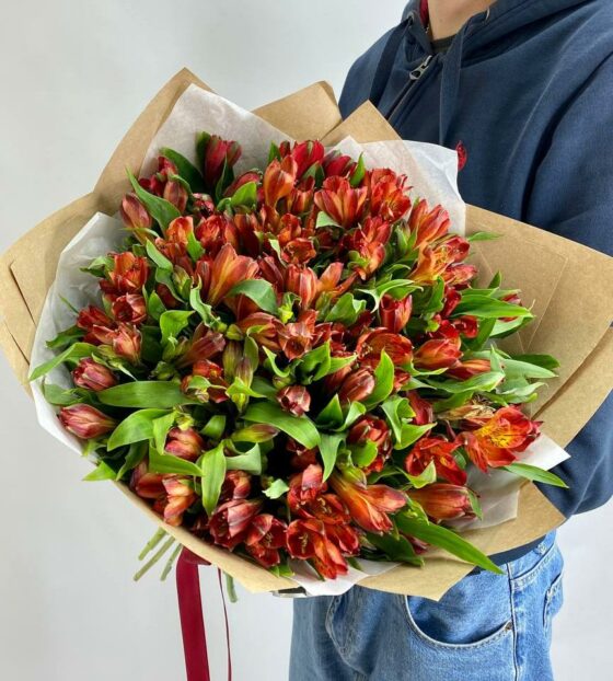 25 красных альстромерий