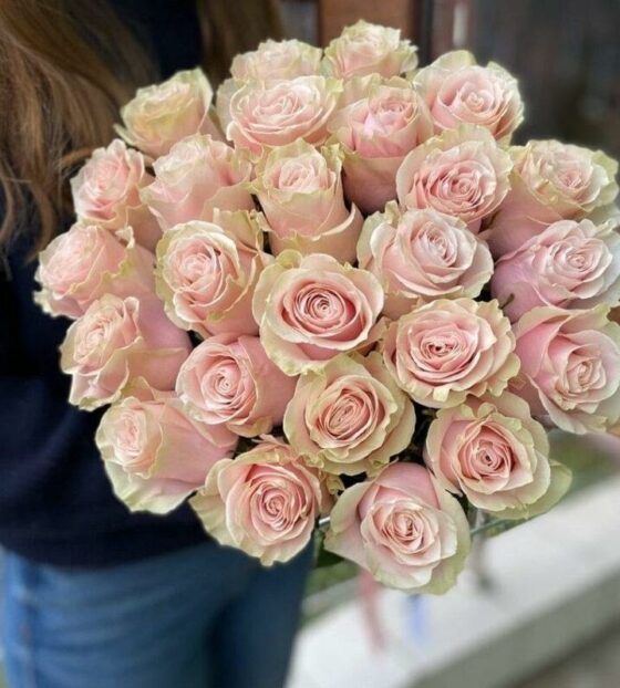 роза пинк мондиаль