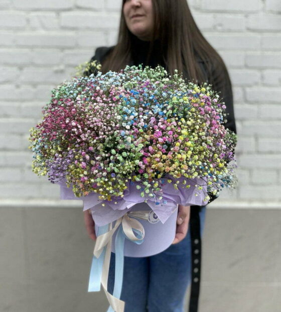 коробка с гипфосилой