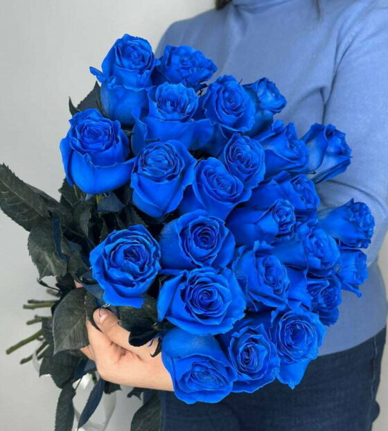 21 синяя роза эквадор