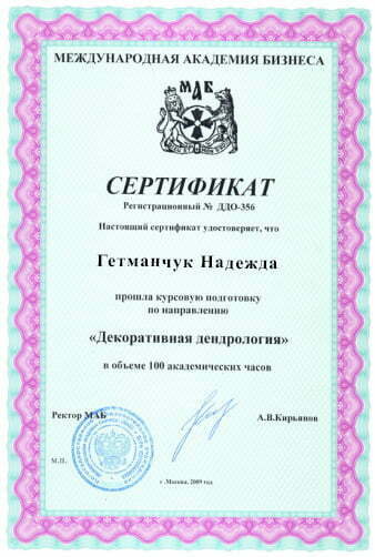 сертификат флориста