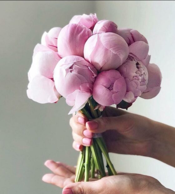 букет невесты из пионов