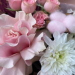 хризантема и роза