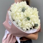 белые французские розы