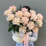 Французские розы в боксе
