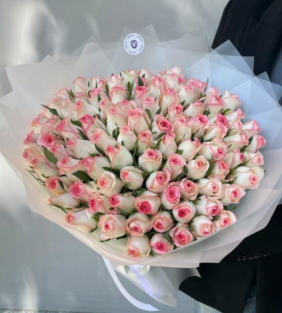 101 роза джумилия