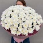 белые хризантемы